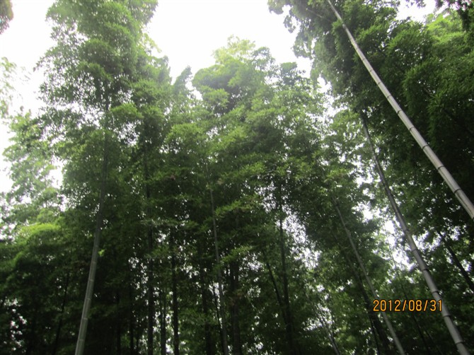 深美特仿真茅草瓦園林景區(qū)