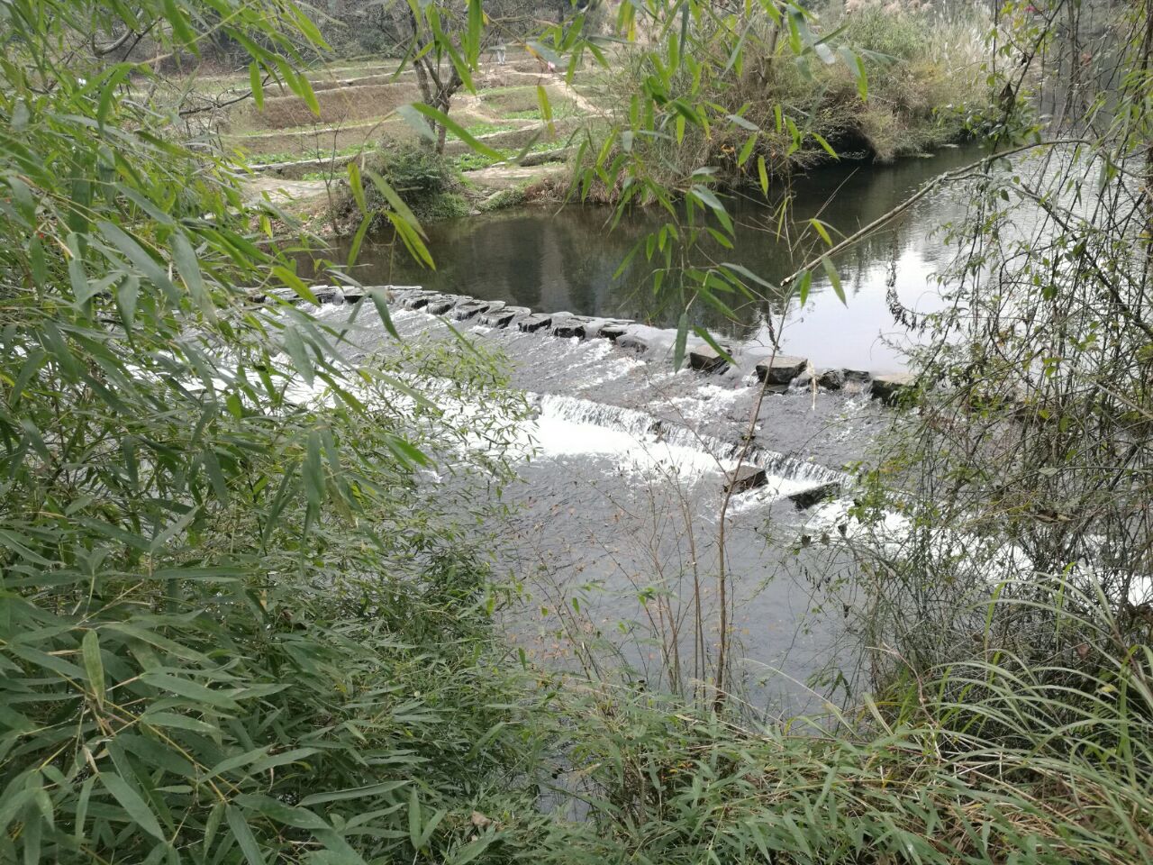 搭建茅草屋